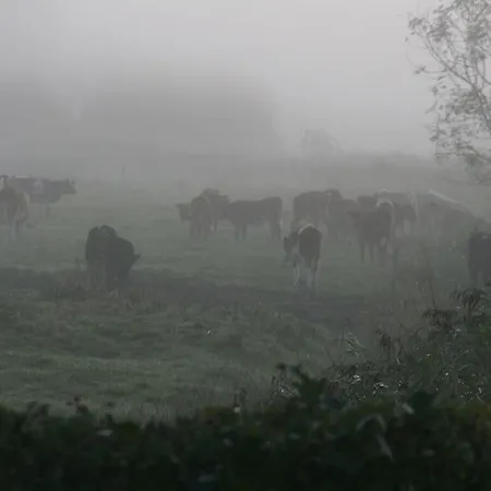 Poppenbuell Thatched House Σπίτι διακοπών
