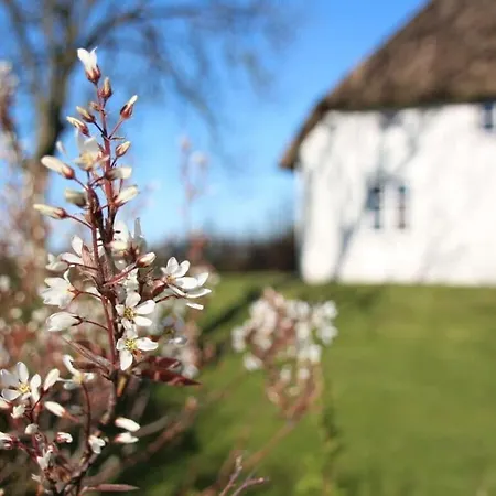 Poppenbuell Thatched House Feriehus *