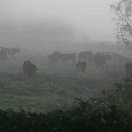 Σπίτι διακοπών Poppenbuell Thatched House